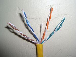 CAT6 twisted pair.jpg