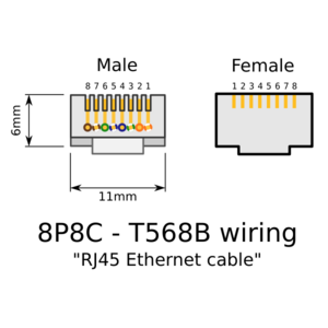 RJ-45 plug and jack.png