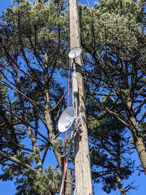 ORCA Mesh Network Nodes on the antenna pole.